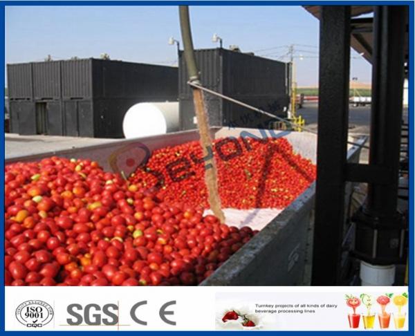 Cheap Tomato Sauce Making Machine Tomato Paste Production Line With Hot / Cold Break System for sale