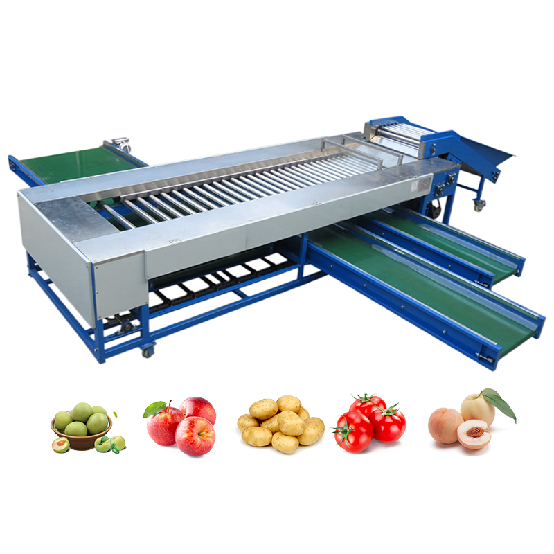 Roller sorting machine