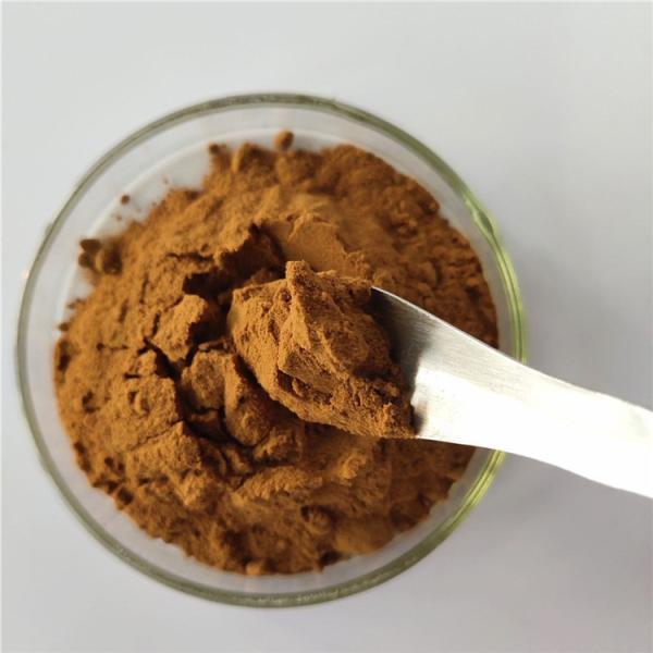 Cheap Food Grade 10:1 Dried Lemon Balm Powder In Bulk for sale