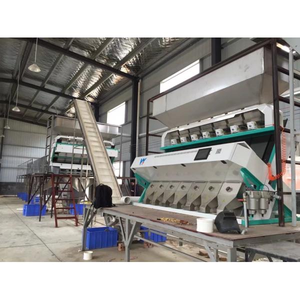 Dried Onion Slices Vegetable Sorting Machine 448 Channels