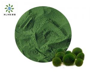 Best High Protein Organic Chlorella Weight Loss For Healthcare wholesale