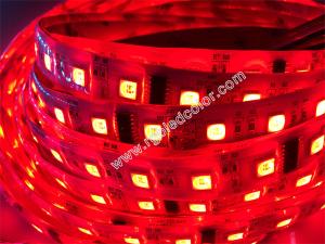 China disco lighting decoration RGBW LED DMX light on sale