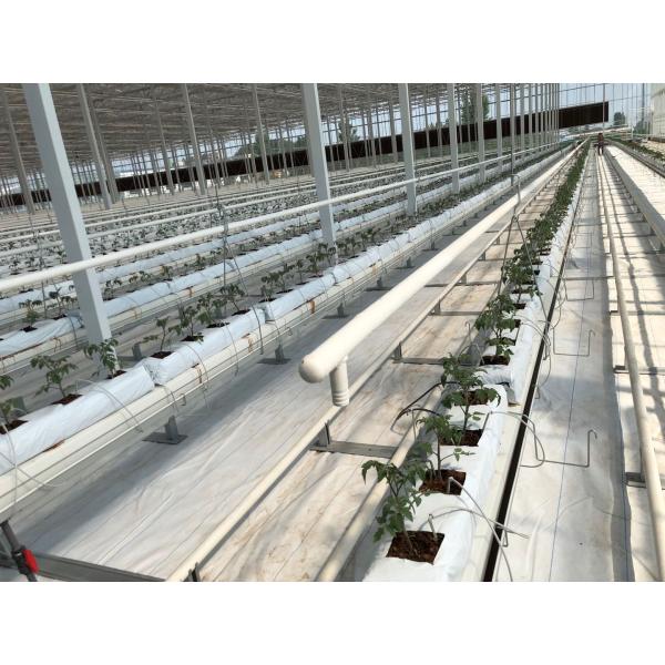 Large Size Commercial Hydroponic Greenhouse With Soilless Cultivation