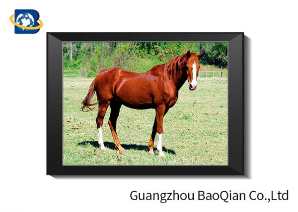 0.6 MM Custom Size 3D Horse Pictures For Adverting / Decoration Three Filps