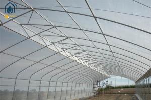 Best Customizable Tunnel Multi Span Greenhouse 5m - 12m Width With Drip Irrigation System wholesale
