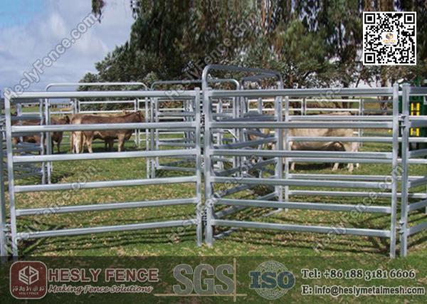 China Horse Fencing Panel Exporter