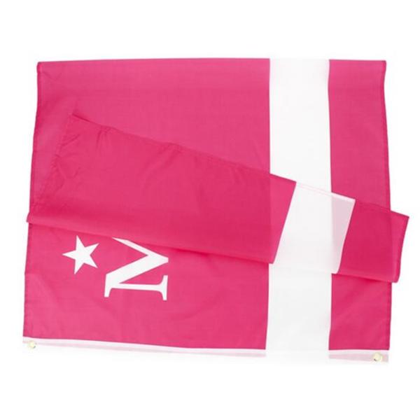 Fade Resistant Pink M 70g Polyester Rectangle Banner Flags 90x150cm