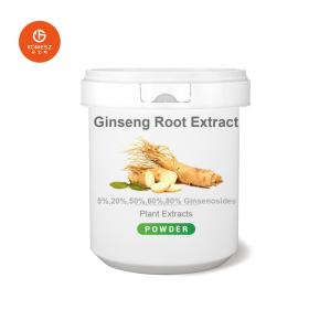 China China Manufacturer Pesticide Free Water Soluble Ginsenosides 5-80% HPLC Ginseng Root Extract Organic Panax Ginseng Extract Powder on sale