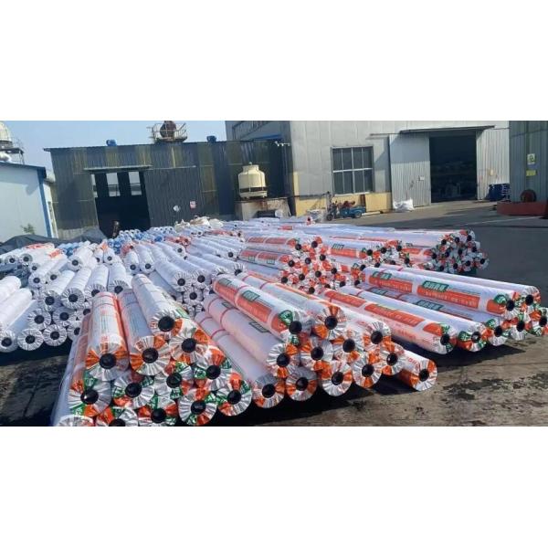 High Polymer Composite Waterproof Roll Extrusion Line Geomembrane Sheet Extrusion Machine
