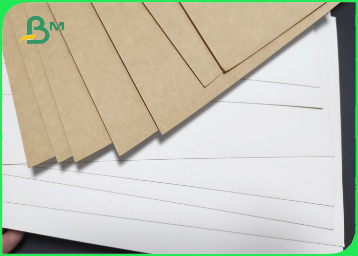 clay coated kraft back