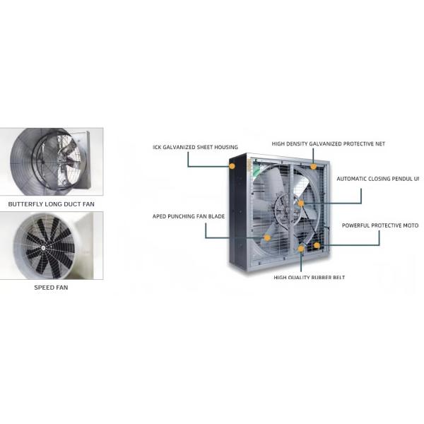 Safe Automatic Poultry House Ventilation System For Broilers / Hens