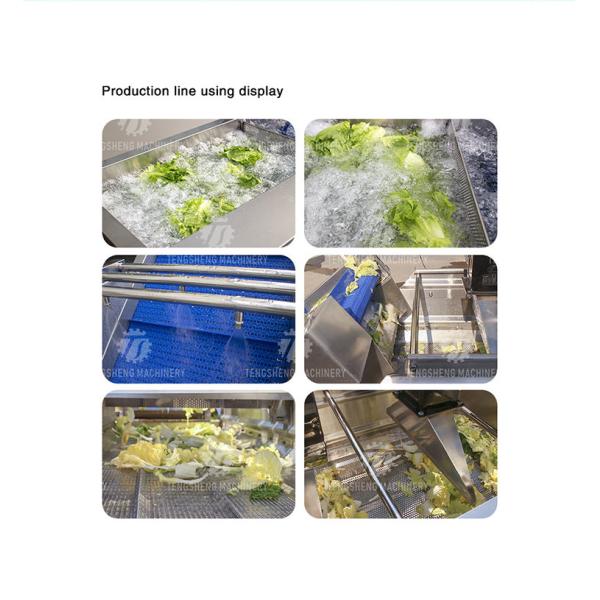 Vegetables and Fruits Bubble Cleaning Vibration Air Drying Machine Production Line