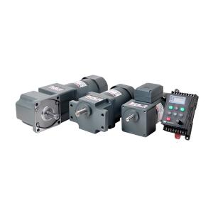 Gear Size 100 Compact Geared Motor