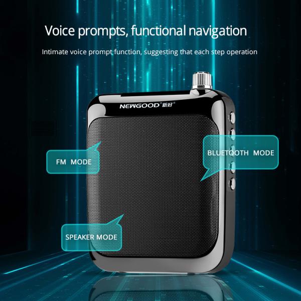 2018 NEWGOOD Bluetooth 2.4Ghz Wireless Headset Microphone Voice Amplifier Loudspeaker for Classroom,School,Yoga,Coach