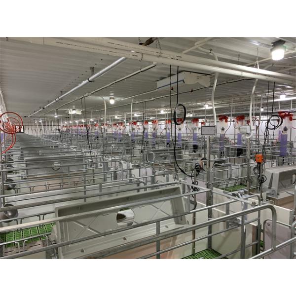 Cast Iron Floor Sow Farrowing Crate 2.5mm Thickness HI HOPE