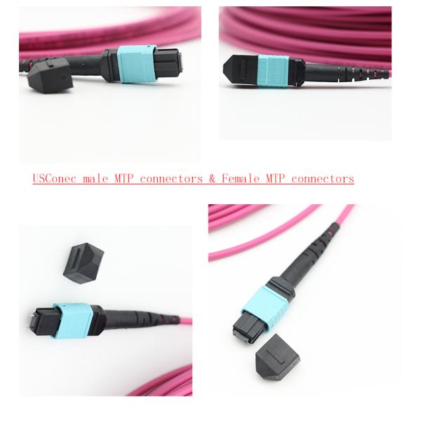 12F MTP-MTP Simplex Multi mode OM4 Trunk Fiber Patch Cord With Rose Red Cable