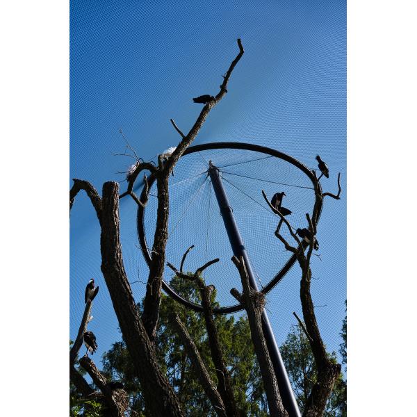 Silver Stainless Steel Rope Mesh with Resist Chewing and Heavy Snow Wind Resistant Properties for Aviary and Zoo Enclosures