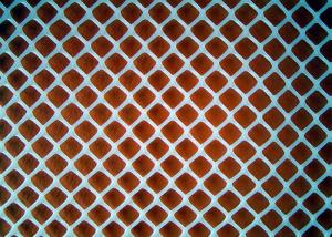 PE Plastic Wire Mesh Roll 1-4.5mm Diameter Wear Resisting