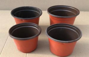 China Compostable Nursery Soft Garden Plastic Plant Pots Horticultural Plant on sale