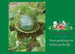 Melon Garden Plant Supports Cradle Increase Air Circulation Underneath Fruit 5"