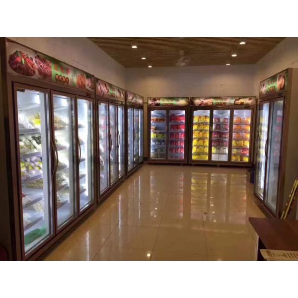Fan Cooling Convenience Store Vertical Glass Door Freezer