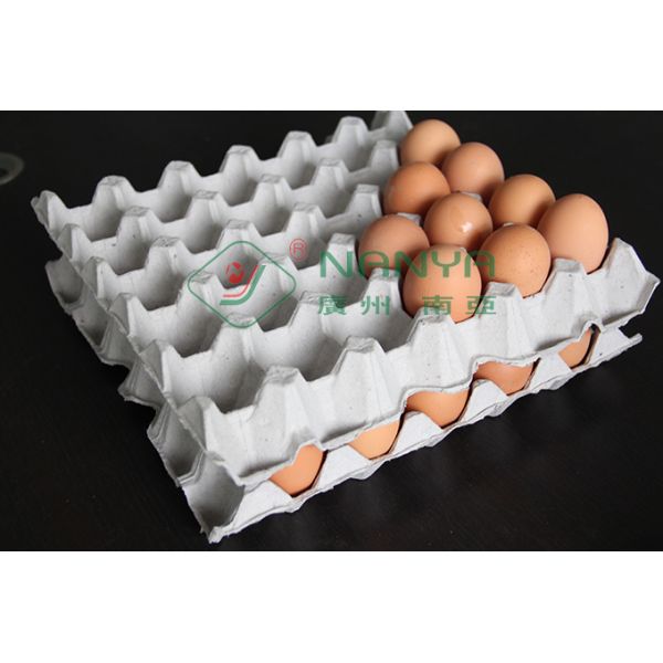 Fully Automatic Rotary Cup-Holder / Egg Trays Forming Machinery