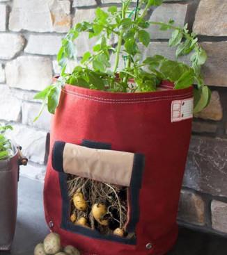 PP Fabric Plant Grow Bags Futuristic Appearance Superb Shock Mitigation Design