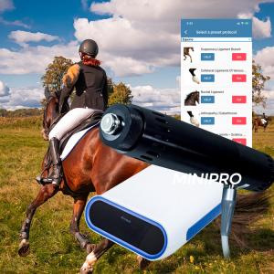 Horse Veterinary ESWT Therapy Machine Medicine Application