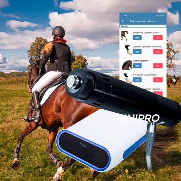 Cheap Horse Veterinary ESWT Therapy Machine Medicine Application for sale
