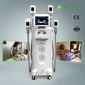 Professional best price cool technology body slimming weight loss cryolipolysis machine with CE certification