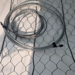 Best High Tensile Rock Netting Slope Protection Gabion Wire Mesh Fence wholesale