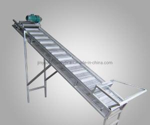 Best Steel Roller Belt Conveyor System for Carton/Box Transfer wholesale