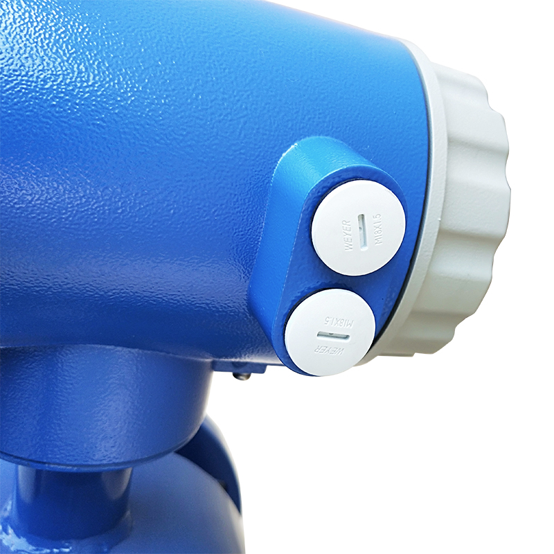 Electromagnetic Digital Flow Meter , Variable Area 50mm Water Flow Meter