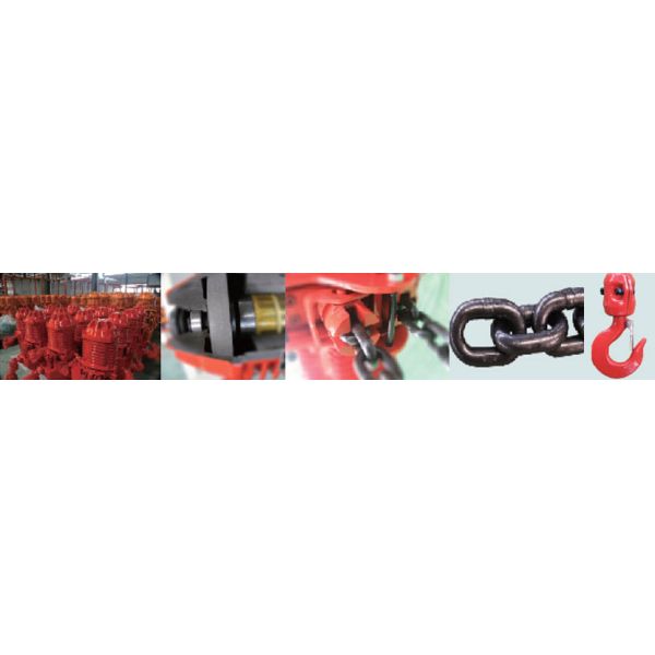 Single Phase IP54 / IP55 3 Ton Electric Chain Hoist With Pendent Control