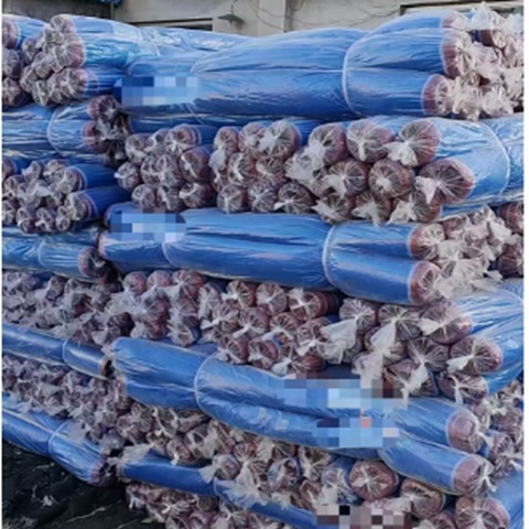 Plain Weave Window Mesh Plastic Window Screen And Mosquito Screen Roll