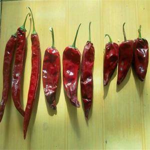 Best Iron-Rich Yidu Chili Spicy And Packed With Nutritional Benefits wholesale