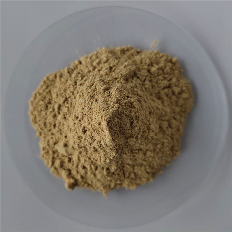 Glossy Privet Fruit Extract For Fatty Liver Care