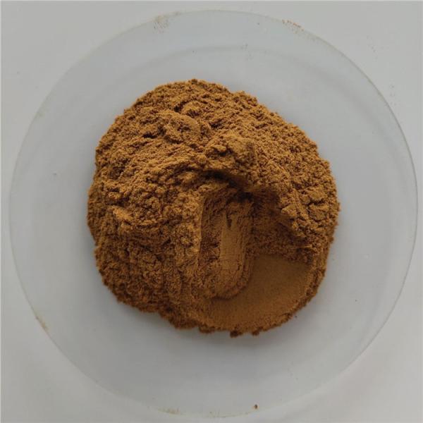 Cheap Gmp Certificate Powder Witch Hazel Extract With Best Price for sale