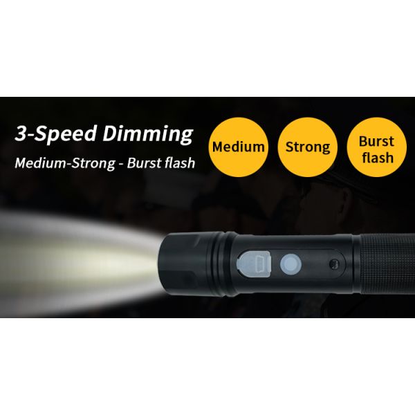 IP67 Guard Patrol Management System RFID Checkpoints Tags Detection 158 Millimeters