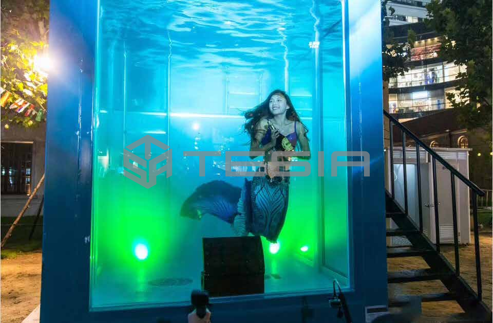 Tesia Industry Custom Prefab Modular 20FT 40FT Container House Luminous Swimming Pool
