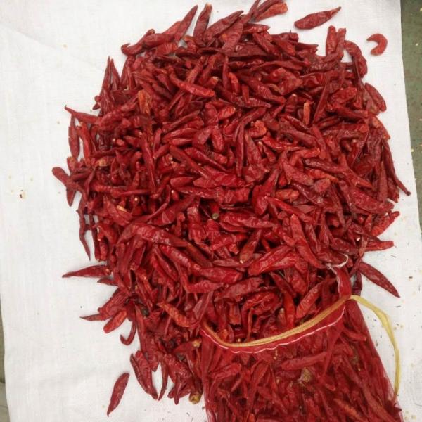 Cheap Red Cayenne Chili Pepper For Hot Pot /  Sichuan Cuisine Application for sale