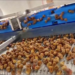 Best Advanced Computer Control, High-capacity online Dates Sorting machine, Deep-learning+AI 6-Lane, High Precision &amp; Defect Detection, cCustomizable wholesale