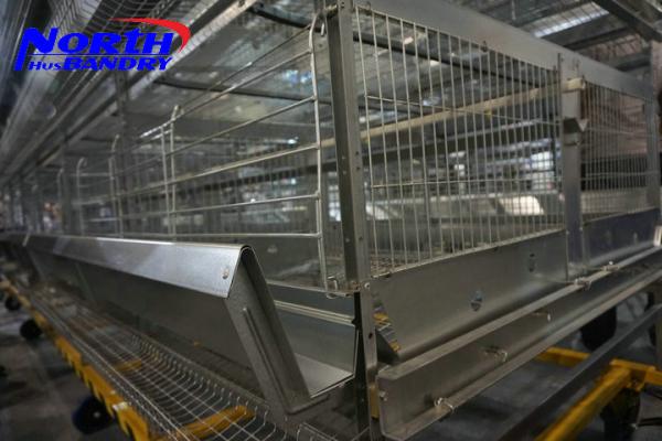 Cheap Aviaries & Chicken Coops available for sale