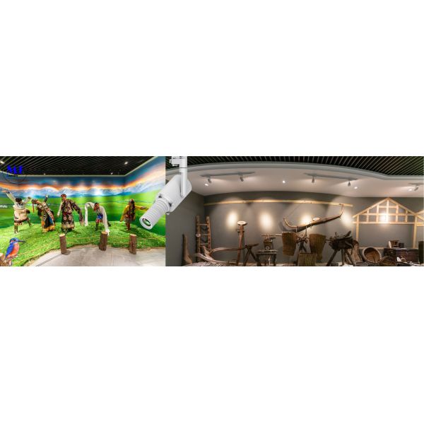 Integrated Contour Spotlight Gobo Projector Shapeable Track Light for Commercial Cultural Museum Lighting