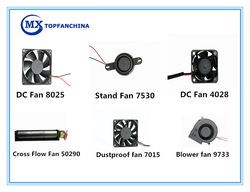 fan.jpg