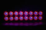 500W Hydroponic Apollo LED Plant Grow Lights with 240pcs Beads for Indoor Growth