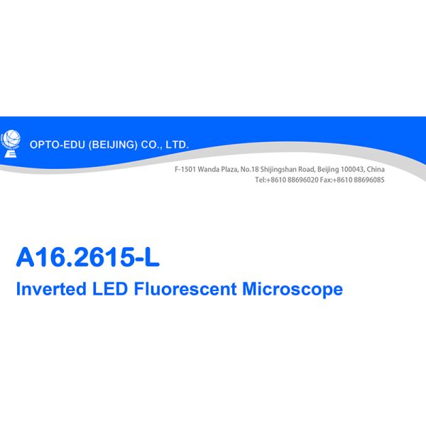 Inverted Fluorescence Led Digital Microscope