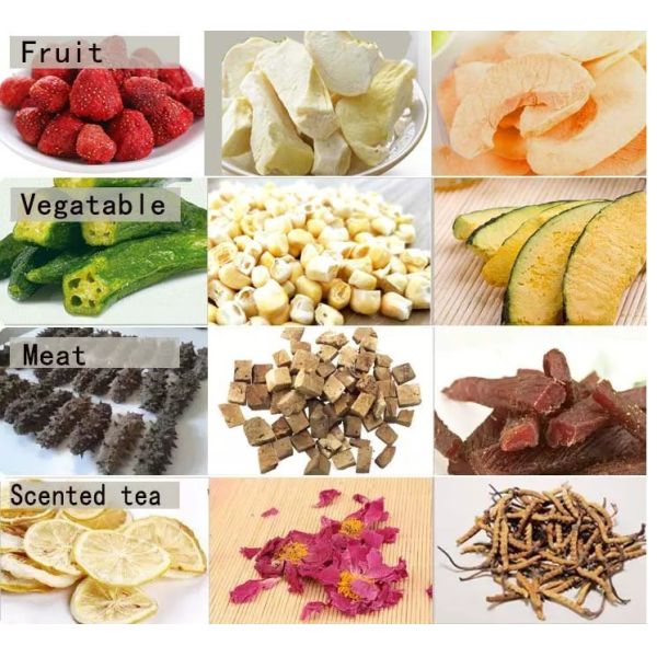 Electric Heating Small Freeze Dryer , Mini Freeze Drying Machine For Fruit Vegetable