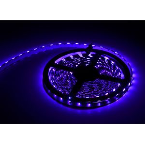 Best Decorative Lights RGBWW Flexible LED Strip Lights 12V Full Color Samsung 5050 wholesale