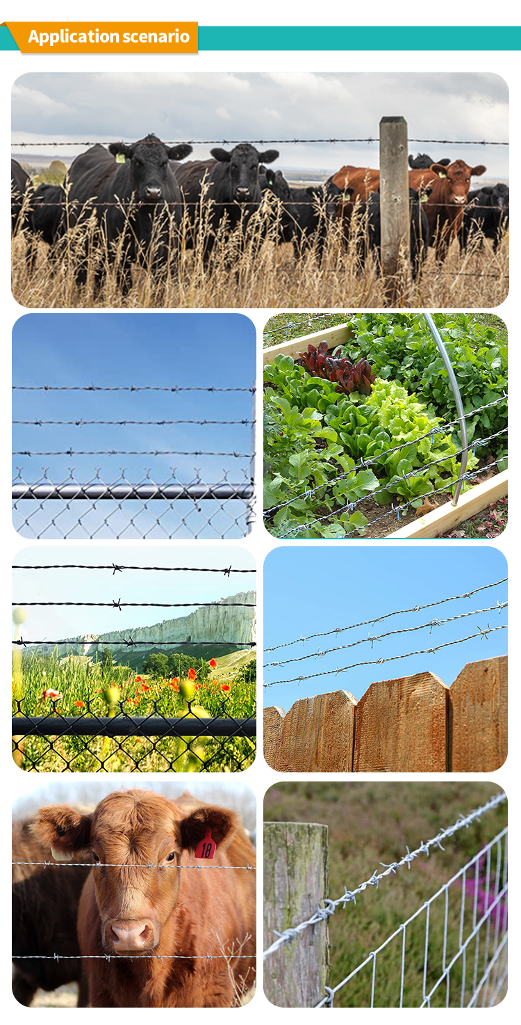 Green Galvanized Razor Barbed Wire 2.5mm Wire Diameter Ideal for Securing Your Propert